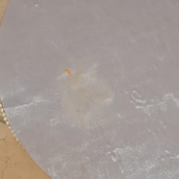 KIM SEYBERT WHITE PAISLEY CHRISTMAS HOLIDAY CRYSTAL PLACEMAT CHARGER CENTERPIECE - Picture 8 of 8